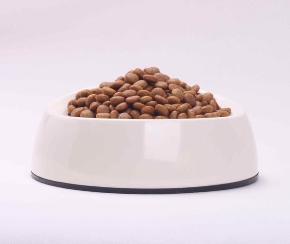 运动,休闲 宠物用品 宠物食品 厂家产品